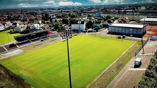 国家药监局 国家药监局