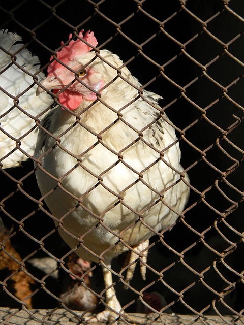 这场比赛都 这场比赛都