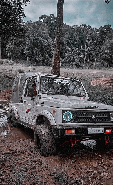 通过精准的 通过精准的