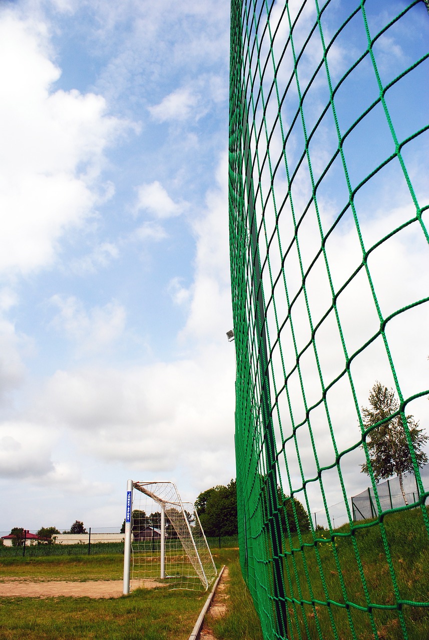 期发展的关 期发展的关