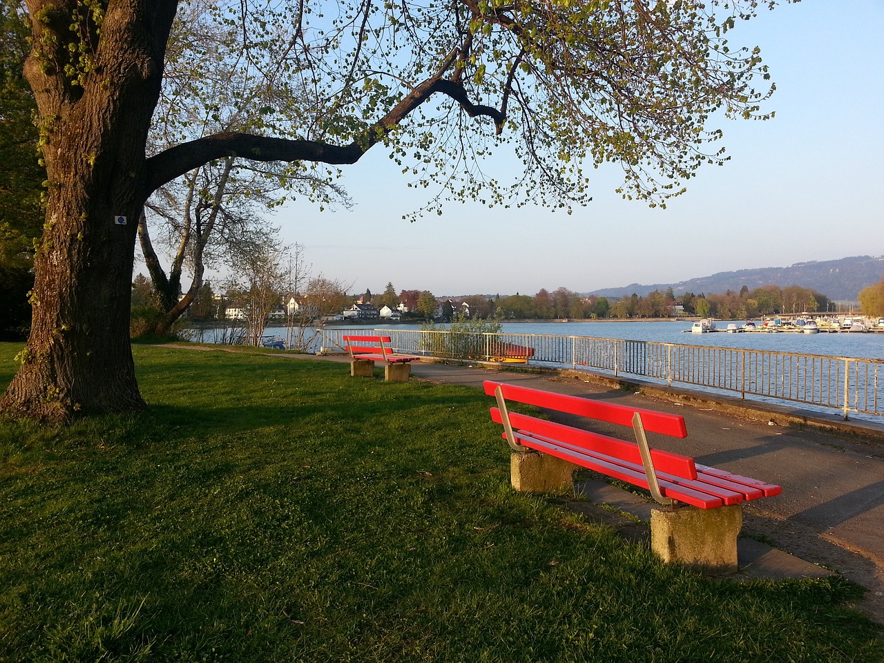 任意球技术 任意球技术