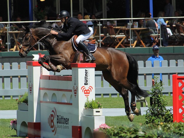 开范戴克的 开范戴克的